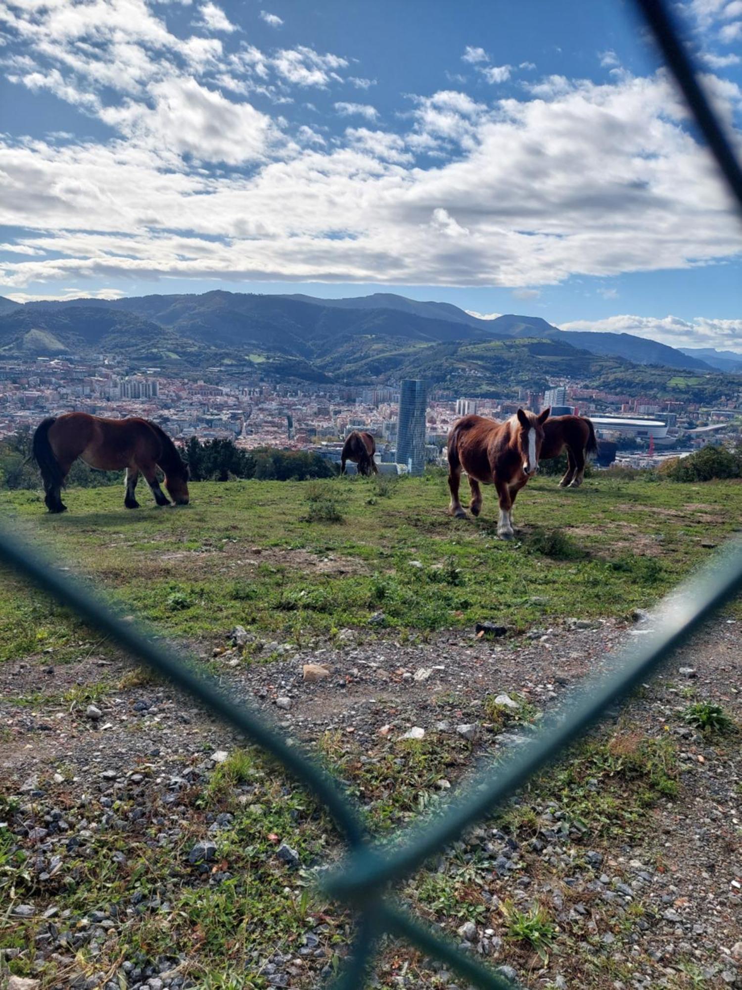 شقة Bilbao Center Apt 90'S Parking المظهر الخارجي الصورة